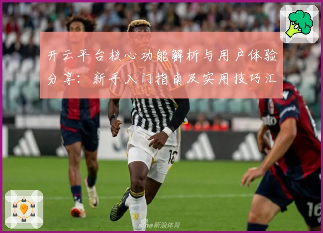 开云平台核心功能解析与用户体验分享：新手入门指南及实用技巧汇总